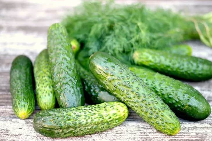 Ogórki kiszone a cukier: Jak stabilizują glikemię? Sprawdź!