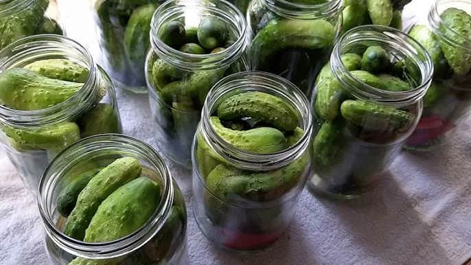 Ogórki kiszone na zimę: Idealnie chrupkie? Poznaj mój przepis!