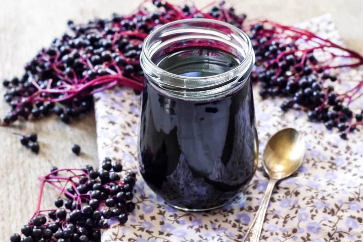 Sok z bzu: Na co pomaga? Wzmocnij odporność i walcz z infekcjami